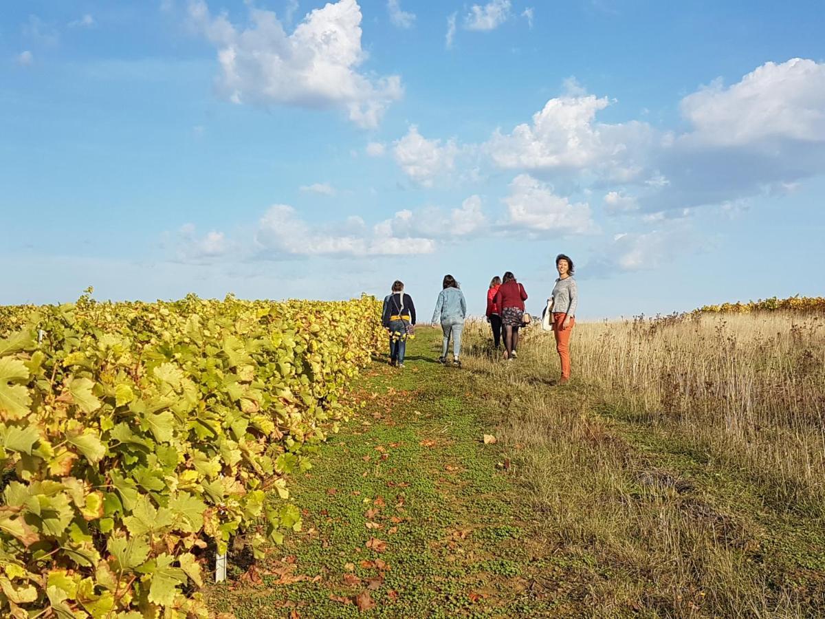 Aux Nids D'Hirondelles Διαμέρισμα Pouilly-sur-Loire Εξωτερικό φωτογραφία