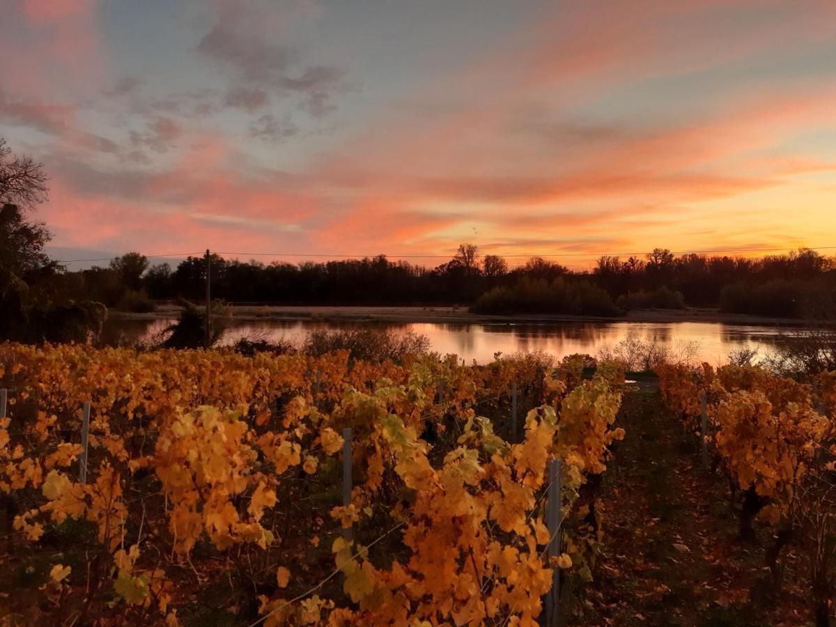 Aux Nids D'Hirondelles Διαμέρισμα Pouilly-sur-Loire Εξωτερικό φωτογραφία